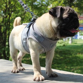 LOS ANDES Dog Harness Small Dogs, Cat Harness with Lead, Reflective Soft Padded Dog Harness, Air Mesh Chest Harness for Puppies, Small Dogs, Cats