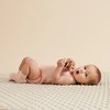Wilson & Frenchy Organic 3 Pack Baby Socks - Cantaloupe,