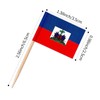 ZXvZYT Toothpick flag (Haiti)