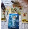 Psychic tarot card reading EXTREMELY Accurate Cards Reading 5 QUESTIONS