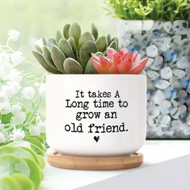 DecStic It Takes A Long Time to Grow an Old Friends Planter Ceramic Family Phrase Round Flower Pots with Drainage Holes and Bamboo Tray Pot for Home Office Desk Garden