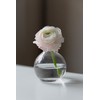 WGVI WGV AZ_VBD0104_CL Round Glass Bud Vase with Glass Cleaning