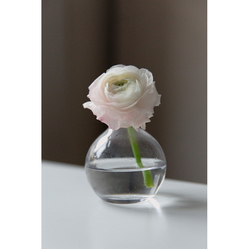 WGVI WGV AZ_VBD0104_CL Round Glass Bud Vase with Glass Cleaning