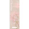 Color Con Cheritta One Day 1 Box of 10 Cheritta