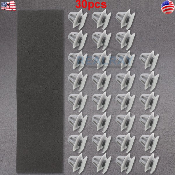 realray 30pcs Front Door Lower Molding Clip w/ Sealer for