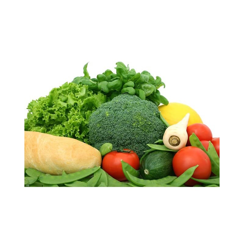 Set of 12 Squash- Zucchini Vegetable Seed Packs - Create