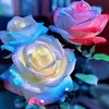 200 Pcs Ice Rain Blue Strong Aroma Rose Seeds Potted