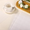 Linyongc Plastic Mesh Canvas Sheets, 4Pcs, White, Rectangular, Plastic, Craft