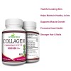 Collagen Peptides 60 Capsule 1000 MG Hydrolyzed Anti-Aging (Types I,II,III,V,X)