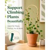 Moromyse Plant Trellis Indoor 16in Bamboo Trellis Loop - Shaped