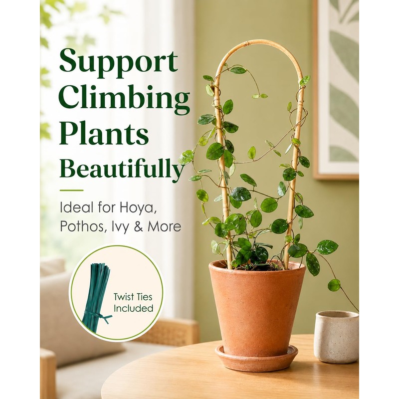 Moromyse Plant Trellis Indoor 16in Bamboo Trellis Loop - Shaped