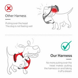 PoyPet No Pull Dog Harness, [Release on Neck] Reflective Adjustable No Choke Pet Vest with Front & Back 2 Leash Attachments, Soft Control Training Handle for Small Medium Large Dogs(Light Blue,L)