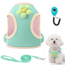 Dog Harness with Leash Set, Breathable Adjustable Dog & Cat Harness with Reflective Strips, Step-in Dog Harnesses with Safety Buckle, Soft Cat Vest for Outdoor Walking, Training