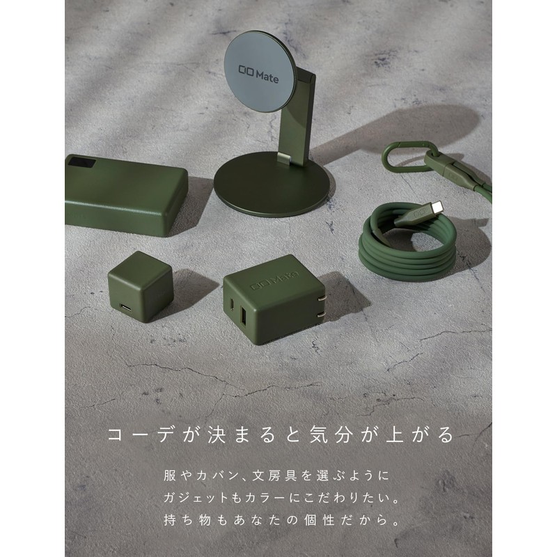 CIO Mate Charger 004 65W1C1A Moss Green