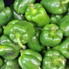 California Wonder 300 TMR Sweet Pepper Garden Seeds - 1