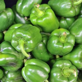 California Wonder 300 TMR Sweet Pepper Garden Seeds - 1 Lb Bulk - Non-GMO, Heirloom Vegetable Gardening Seed
