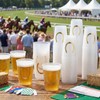 Tioncy 100 Pack 16 oz Derby Plastic Cups Bulk, Frosted
