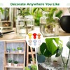 6 Pcs Mushroom Glass Propagation Stations, High Borosilicate Hydroponic Planters,