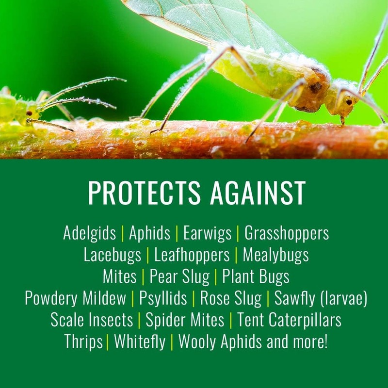 Natria Insecticidal Soap, Ready-to-Use Garden Bug Treatment, Insect Killer for