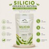 Silicio Orgánico Wildmountain 200 100 Algas Fosilizadas Fuente Vegetal Producto