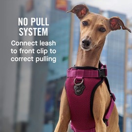 Canada Pooch Everything No Pull Dog Harness - Easy Walk Harness for Dogs with Breathable Mesh Exterior, Adjustable Dog Walking Harness Great for Dogs Pink / XL
