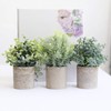 THE BLOOM TIMES Set of 3 Small Potted Artificial Plants