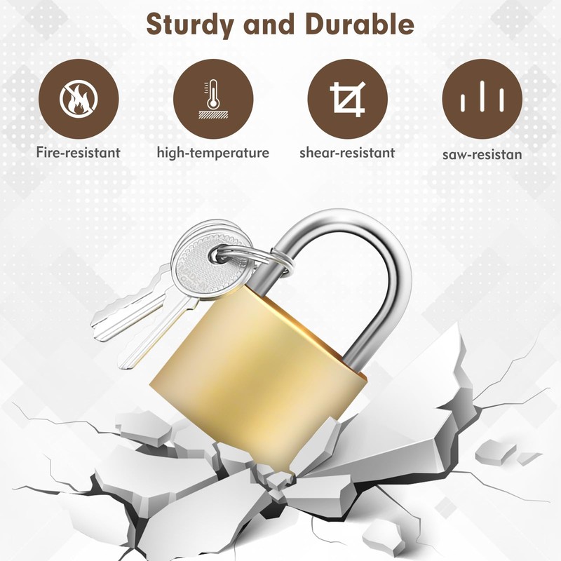 RYANNER Padlock 2PCS Small Padlock, Padlocks with Keys, can be