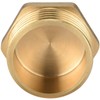 nutmanel Brass Plug, 1 Inch Male Thread, Brass Blanking Plug