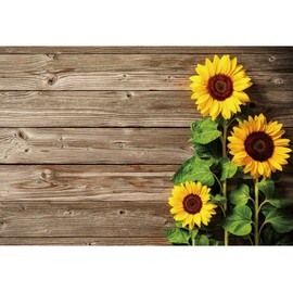 Sunflower Brown Wood Backdrops for Photography,Yeele 10x8ft Rustic Wooden Floor Photo Background Child Baby Shower Birthday Party Background Banner for Picture Photo Studio Photo Booth Decoration