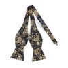 HISDERN Paisley Wedding Self Bow Tie Handkerchief Men's Self Bow