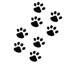 TKS Car Sticker, Cat Dog, Car or Motorbike, Hide Scratches, Dents, Footprints, Cute, Small Size, Seal, Protects Against Scratches and Dents in Your Car, Suitable for Suitcase, 8 Paws (Black)