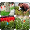 zozen Zozen Marking Flags, 500 Pack | 100 x 5