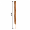 Moss Pole for Climbing Indoor Plants – Plant Fiber Support