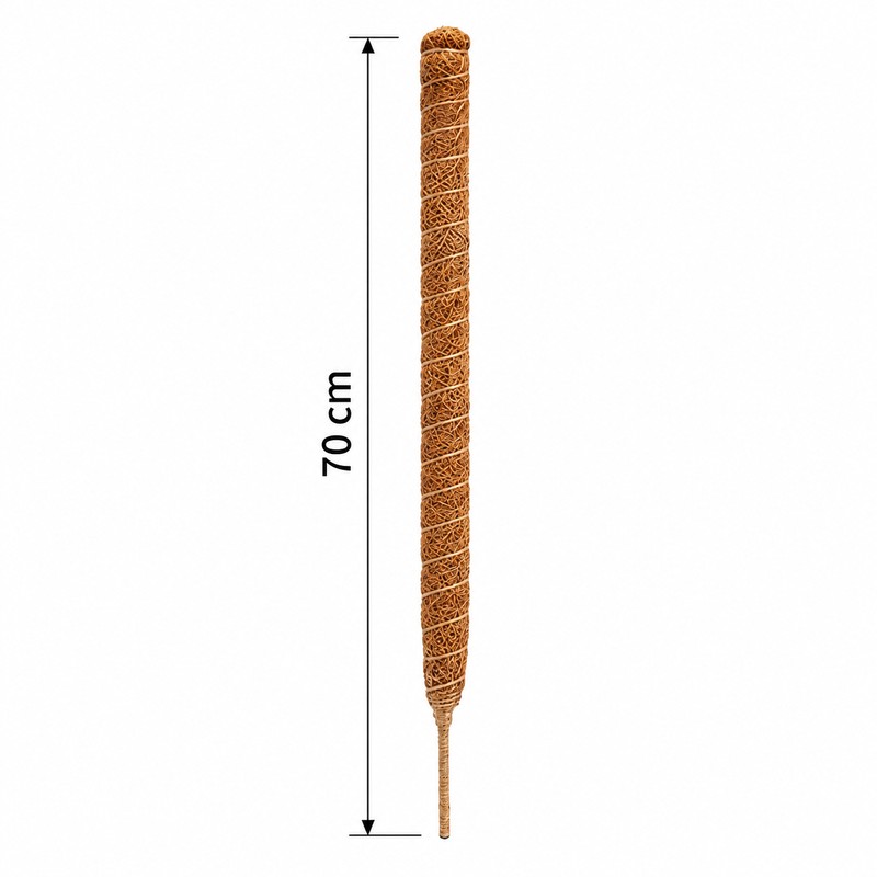 Moss Pole for Climbing Indoor Plants – Plant Fiber Support