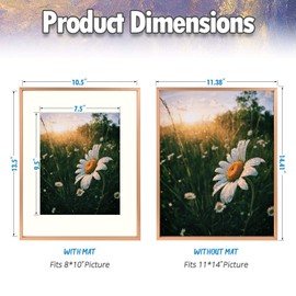 AUEAR, 11x14 Aluminum Frame in Rose Gold - Real Glass - Made To Display Pictures 8x10 with Mat Horizontal And Vertical formats for Wall (2 Pack)