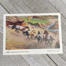 The Appaloosa Horse by Orren Mixer Postcard Blank Back 4.25 x 6 Nez Perce 1999