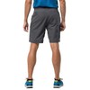 Jack Wolfskin Active Track Men's Shorts, Grey (dark iron), 35