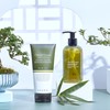 Tan Treatment Conditioner (Oriental Essence, Moisture)