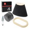 Air Filter foam and Oil Filter + Spark Plug 2001
