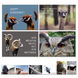 Geburtstagskarten Postkarten Set (10 Motive) lustig Glückwunschkarten, Postkarten Tier Karten lustige Sprüche, Geschenk Karte zum Geburtstag Geburtstagsgeschenk Grußkarten Mann Frau birthday cards