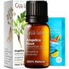 Gya Labs Angelica Root Essential Oil for Diffuser - 0.34
