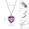 Q&D&S Crystal Urn Necklace for Ashes, Heart Birthstone Memorial Cremation