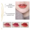 4 Piezas Labial Bálsamo Cuidado Facial Hidratante Labios Lip