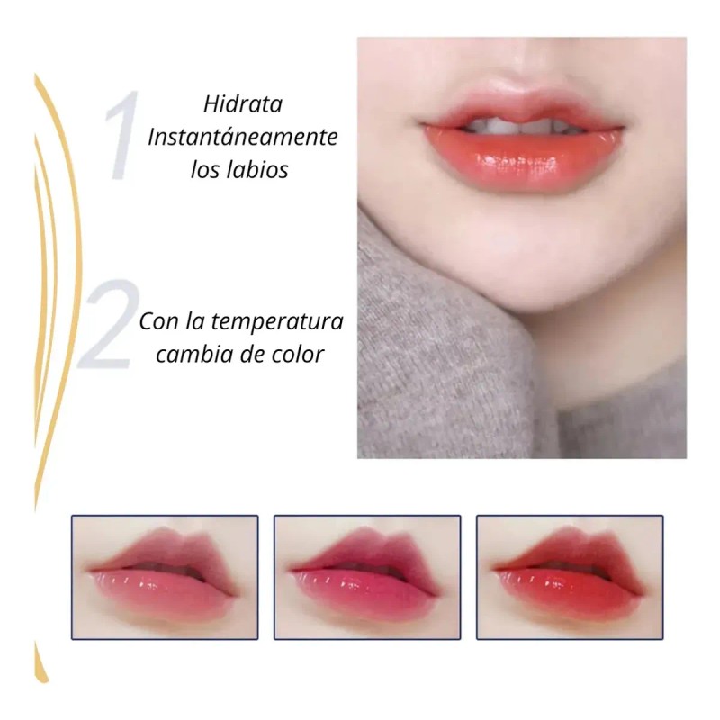 4 Piezas Labial Bálsamo Cuidado Facial Hidratante Labios Lip