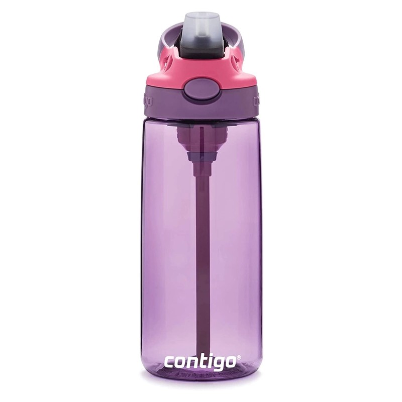 Contigo Aubrey Kids 20oz Cleanable Water Bottle with Silicone Straw,