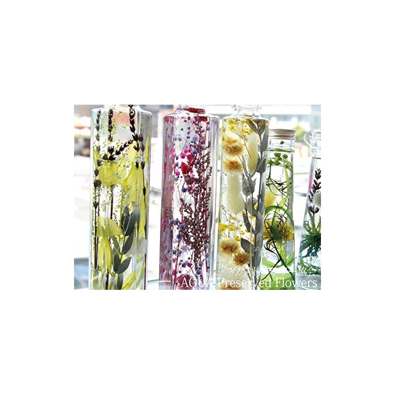 akuapuriza-budohurawa- Fluid [Type 1: Standard Type]