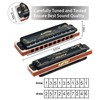 East top 10 Holes Diatonic Blues Harmonica,Harmonicas for Beginners and