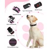 Weesiber Light Up Dog Collar, USB Rechargeable LED Dog Collar