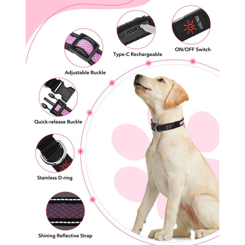 Weesiber Light Up Dog Collar, USB Rechargeable LED Dog Collar