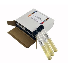 ALDON Innovating Science Luria (LB, Miller's) Broth Tubes, Pack of 12 - Sterile Microbiological Culture Media - The Curated Chemical Collection